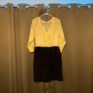 Any Taylor Loft Dress